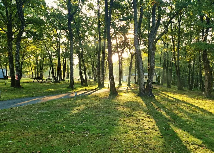 Nuit Insolite Dans Un Petit Hobbit En Bois *