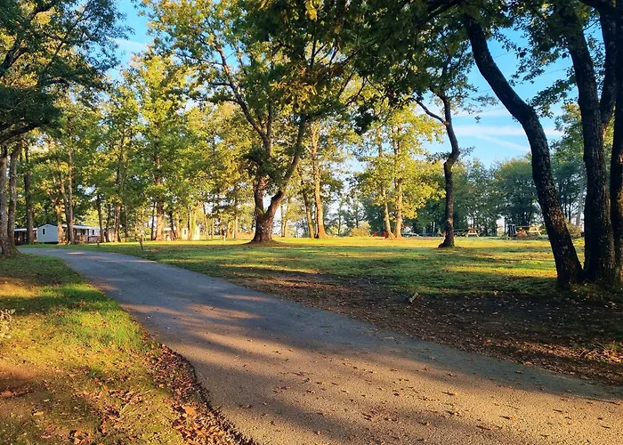 Nuit Insolite Dans Un Petit Hobbit En Bois * Senille